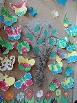 IMG_20170525_090426.jpg