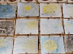 IMG_20170525_090651.jpg