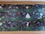 IMG_20170525_092737.jpg