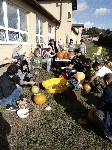 IMG_20190926_154332.jpg