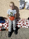 IMG_20190926_155323.jpg