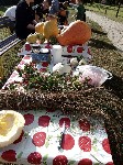 IMG_20190926_155338.jpg
