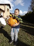 IMG_20190926_155730.jpg
