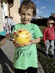 IMG_20190926_163129.jpg