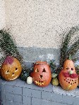 IMG_20190926_165950.jpg