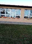 IMG_20190926_170028.jpg
