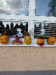 IMG_20190926_170045.jpg
