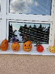 IMG_20190926_170057.jpg