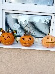 IMG_20190926_170114.jpg