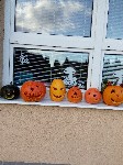 IMG_20190926_170128.jpg
