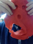 IMG_20200121_074622.jpg