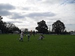 SAM_5805.JPG