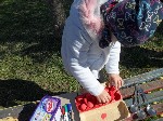 SAM_5959.JPG