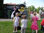SAM_6070.JPG