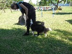 SAM_6108.JPG
