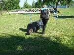 SAM_6110.JPG