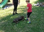 SAM_6115.JPG