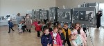 IMG_20231016_101646.jpg