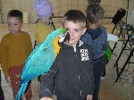 SAM_6647.JPG
