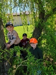 IMG_20250428_105025.jpg