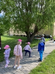 IMG_7786.jpg