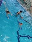IMG_20250409_114348.jpg