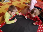 IMG_20250410_091608.jpg