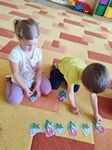 IMG_20250430_095616.jpg