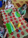 IMG_20250527_072337.jpg