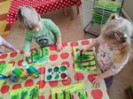 IMG_20250527_100016.jpg