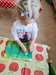 IMG_20250528_100313.jpg