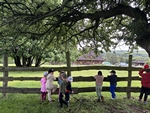IMG_4056.jpeg