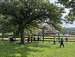 IMG_4064.jpeg