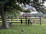 IMG_4071.jpeg
