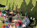 IMG_4115.jpeg