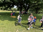 IMG_4155.jpeg