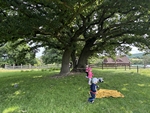 IMG_4161.jpeg