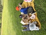IMG_4172.jpeg