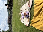 IMG_4213.jpeg