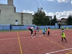 IMG_4395.jpg