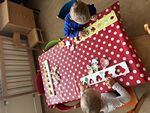 IMG_3852.jpg