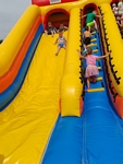 IMG_20250623_100438.jpg