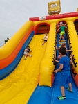 IMG_20250623_101542.jpg